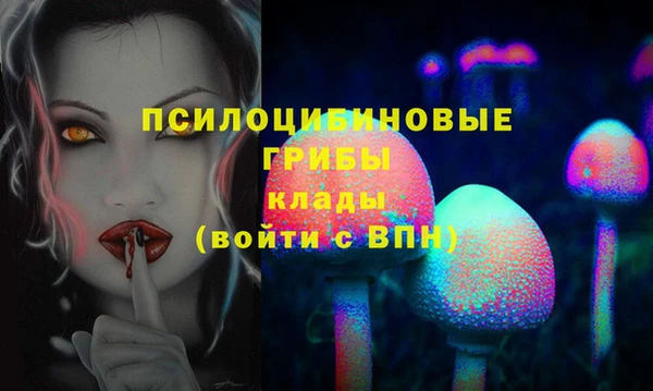 spice Белокуриха